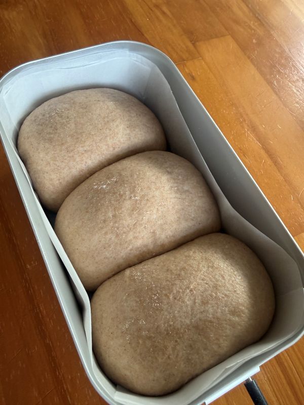 二次発酵したパン生地