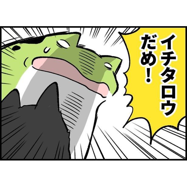 柴犬に向かって「イチタロウ(息子の名前)、だめ！」と怒鳴る ユウコトリトリ(@yuko_toritori)
