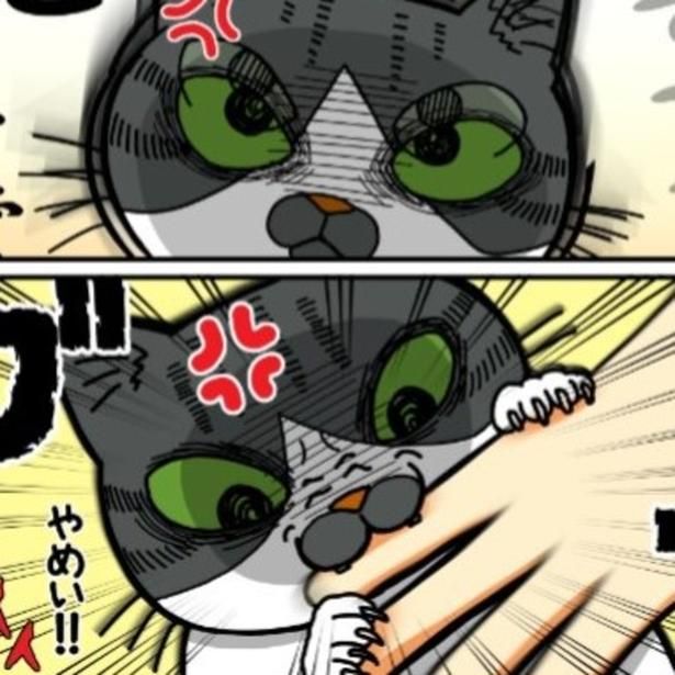 「かづち」が思わず「倍返し」してしまったのは一体なぜ…!? もちこ(@mogutchecho)