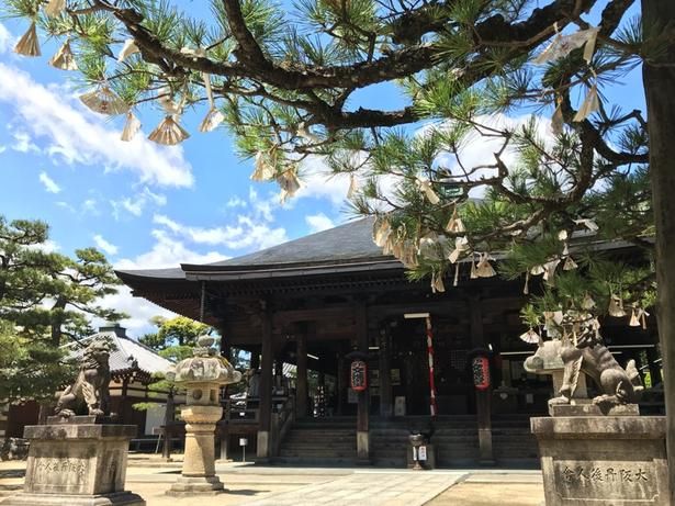年に4度の御開帳時には多くの参拝者が訪れる 画像提供：智恩寺 文殊堂