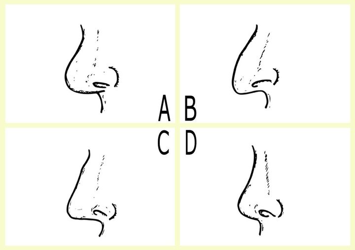 4種類の鼻の形のイラスト A団子鼻 B鷲鼻 C高い鼻 D低い鼻