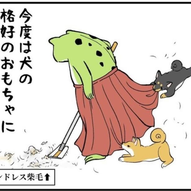 ファッションの神アイテム「ロングスカート」も犬たちにとってはただのオモチャ!? ユウコトリトリ(@yuko_toritori)