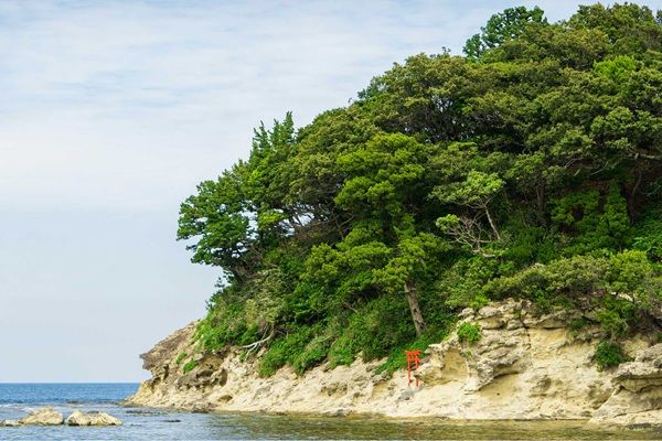 【静岡県下田市】白浜漁港で「海あそびGO 下田白浜磯遊び」開催！立入禁止区域を開放し遊べる磯体験