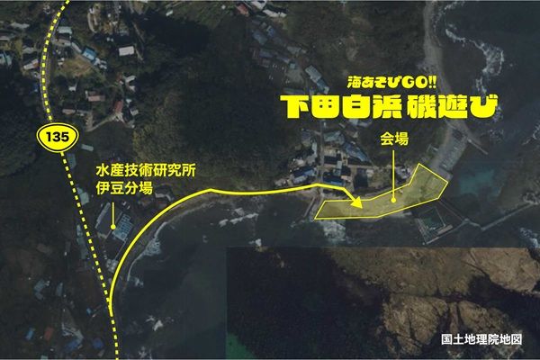 【静岡県下田市】白浜漁港で「海あそびGO 下田白浜磯遊び」開催！立入禁止区域を開放し遊べる磯体験