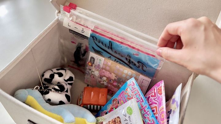 110円で子どもが自分でお片付け！「スライドジッパーバッグ」の意外な収納術 