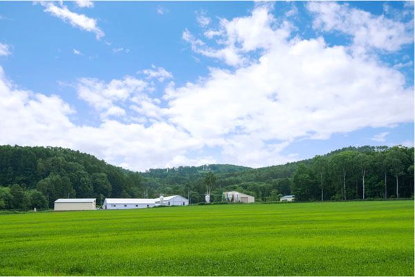 【北海道士別市】北海道フロンティアリーグ公式戦に「あべ養鶏場」が冠協賛し「たまご祭り」を同時開催