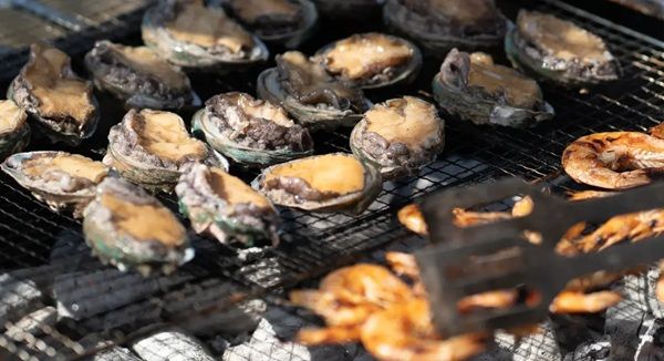 【京都府京都市】「八瀬えいでん《駅》地ビール祭り2026」開催！ビアホーム＆ビアトレインが登場