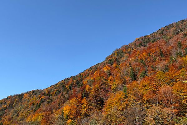 【北海道釧路市】阿寒湖温泉街・湖畔で「阿寒アイヌアートウィーク」開催！共作の大型作品が登場