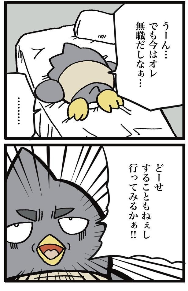 1-5 画像提供：ザバックさん