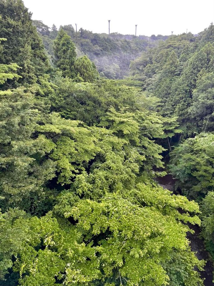 鈴木恵さん8月ブログ③