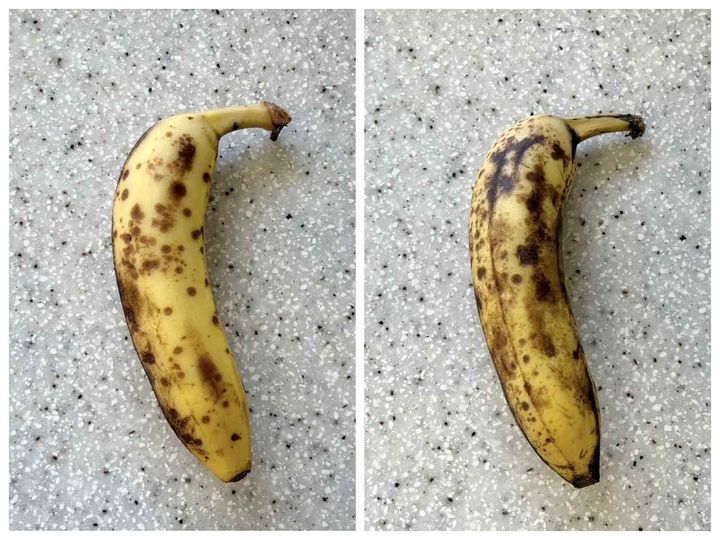 画像3: 3日後、結果は？