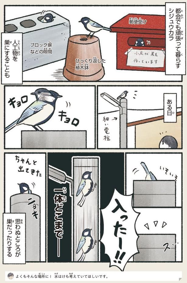 思わぬところが巣だったりする （C）piro piro piccolo／KADOKAWA