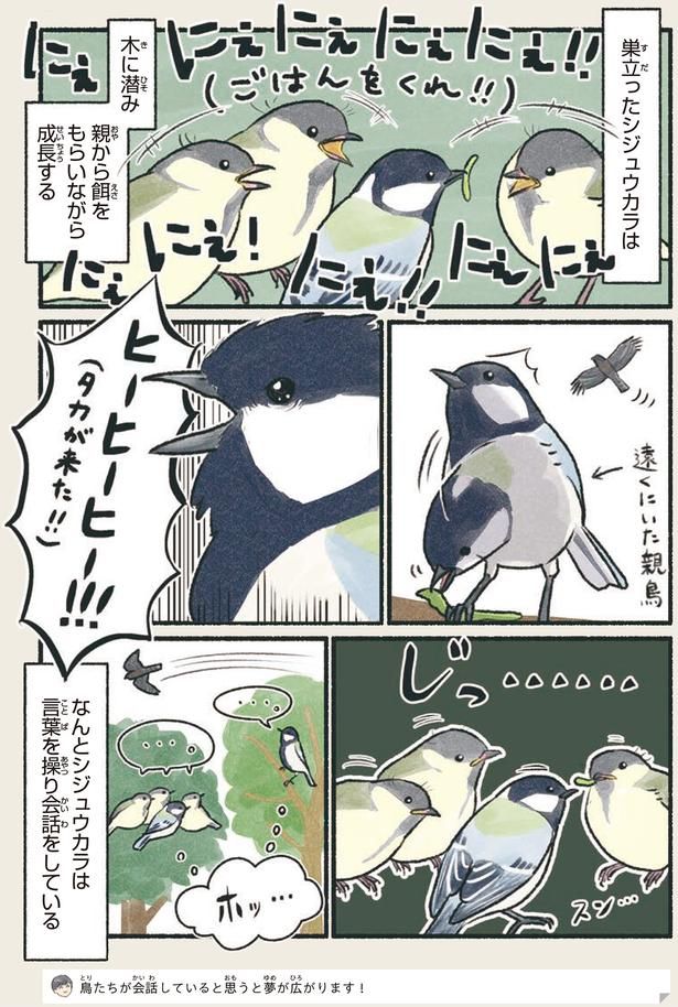 なんとシジュウカラは言葉を操り会話をしている （C）piro piro piccolo／KADOKAWA