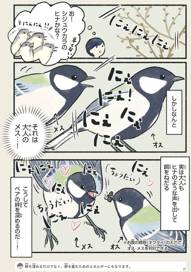 それは大人のメス…！ （C）piro piro piccolo／KADOKAWA