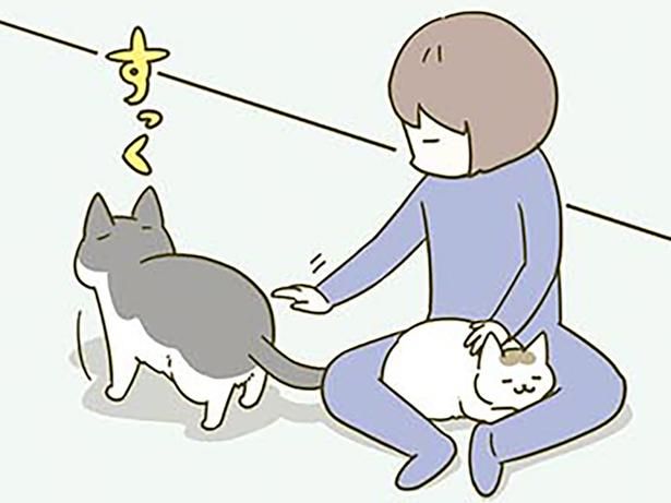 同時に撫でたい （C）卵山玉子／KADOKAWA