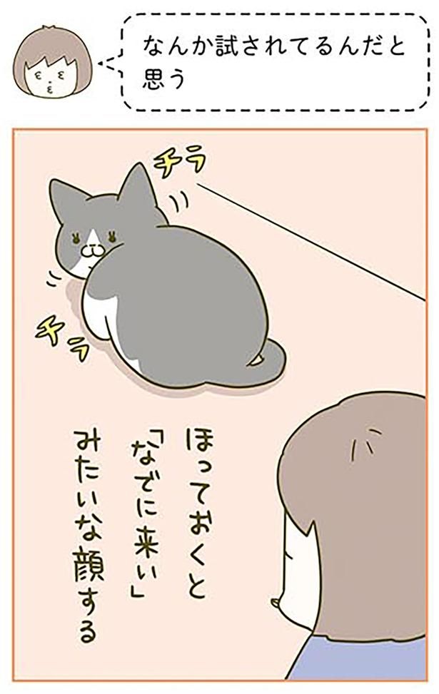 チラチラ… （C）卵山玉子／KADOKAWA