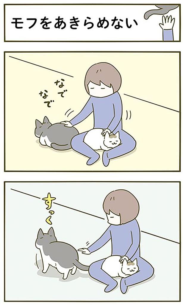なでなで （C）卵山玉子／KADOKAWA