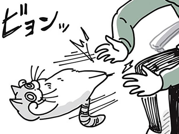 何を求められている？ （C）キュルZ／KADOKAWA