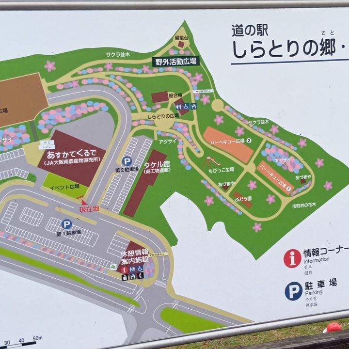 【夏はやっぱり生姜！】おいしい生姜の見分け方＆スカスカに乾燥させない長持ち保存法とは？