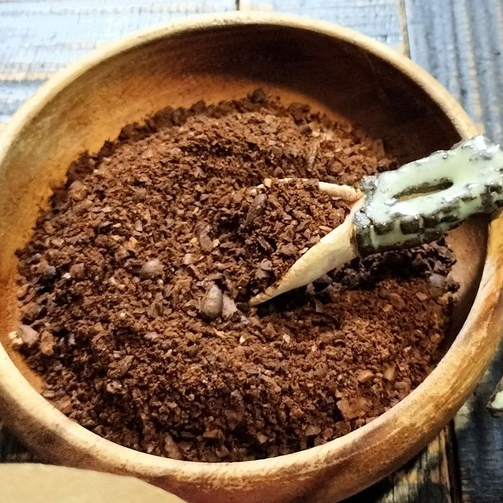 ぷるっとコーヒーゼリー！甘く芳醇なバニラの香りとマカダミアナッツの香ばしさ！
