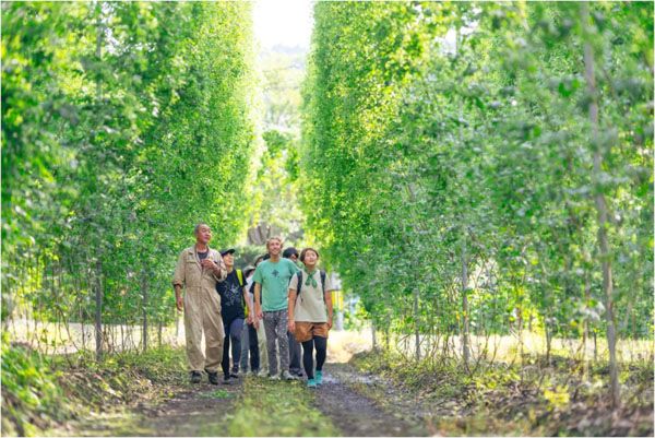 【岩手県遠野市】「遠野ホップ収穫祭2026」開催！ホップの産地で限定ビール＆グルメや体験を楽しもう
