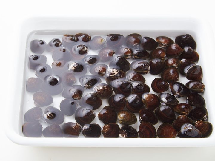 塩水を注ぐ