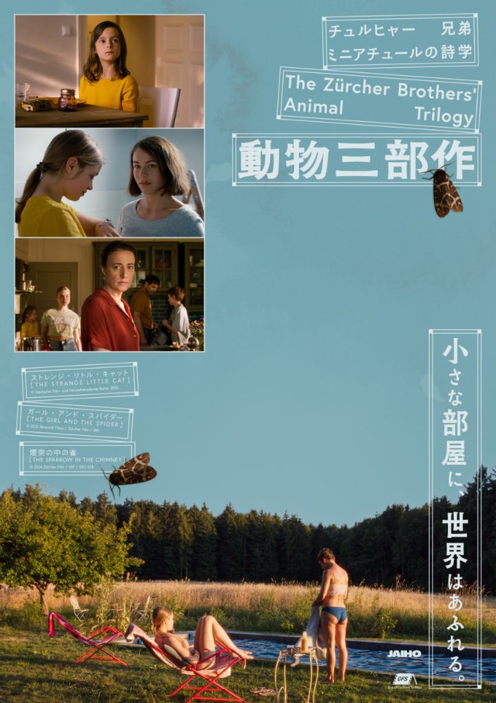 「ミニアチュールの詩学 チュルヒャー兄弟『動物三部作』」メインビジュアル （C） Deutsche Film- und Fernsehakademie Berlin 2013 （C） 2021 Beauvoir Films ／ Zürcher Film ／ SRF （C） 2024 Zürcher Film ／ SRF ／ SRG SSR width=