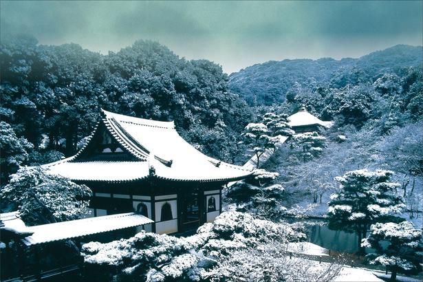 ねねの道沿いに位置する臨済宗建仁寺派の寺院 画像提供：高台寺