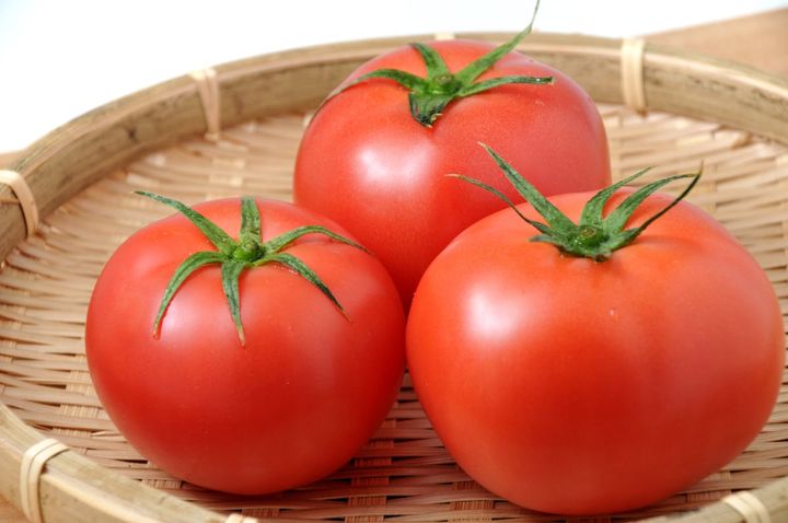 トマトを使ったおすすめレシピとは？