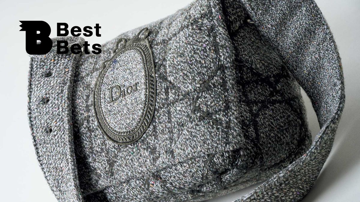 「メダリオン」を柔和に表現。〈Dior〉のバッグ：Brutus Best Bets | TRILL【トリル】