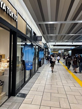 埼玉県所沢市にて街が青に染まる埼玉西武ライオンズ「アオフェス2026」開催中