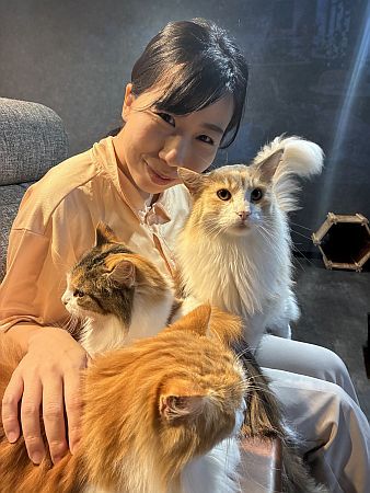 【京都府京田辺市】コワーキング×猫カフェ！0歳から入店可能な「京田辺の猫カフェNAP」正式オープン