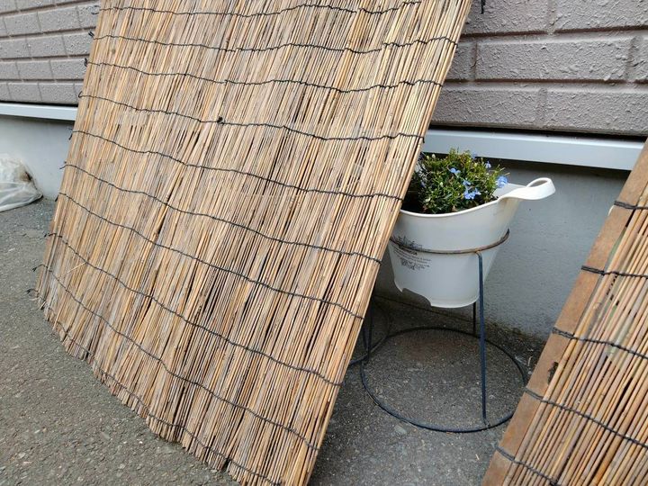 よしずの陰に移動させた鉢植え