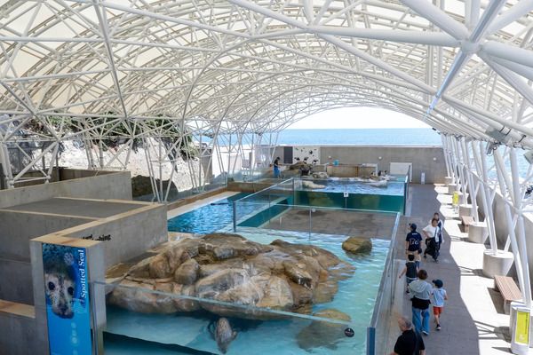 【高知県須崎市】スケートパーク「サクラバンダ」に、雨天利用できる膜屋根設置！工事は太陽工業が担当
