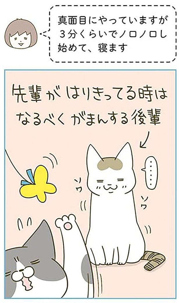 ソワソワ… （C）卵山玉子／KADOKAWA
