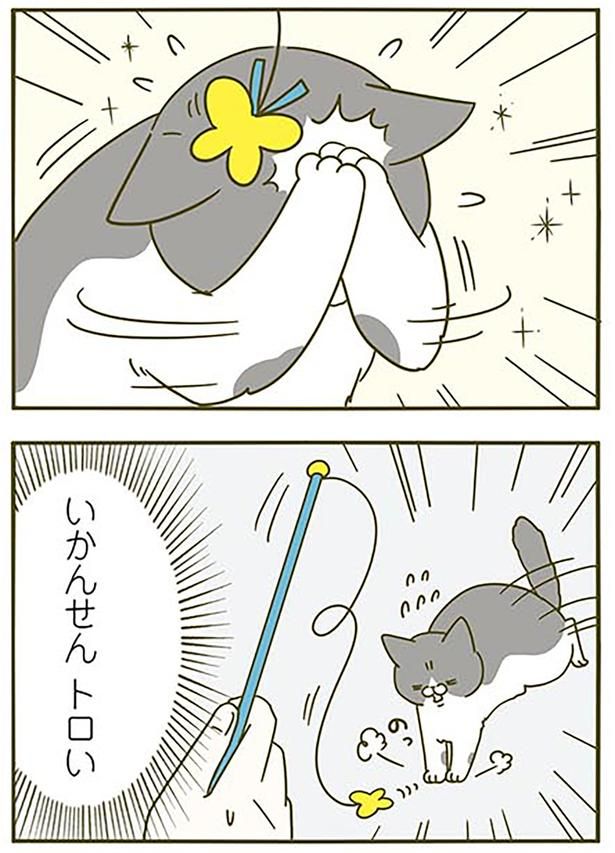 トロい！ （C）卵山玉子／KADOKAWA