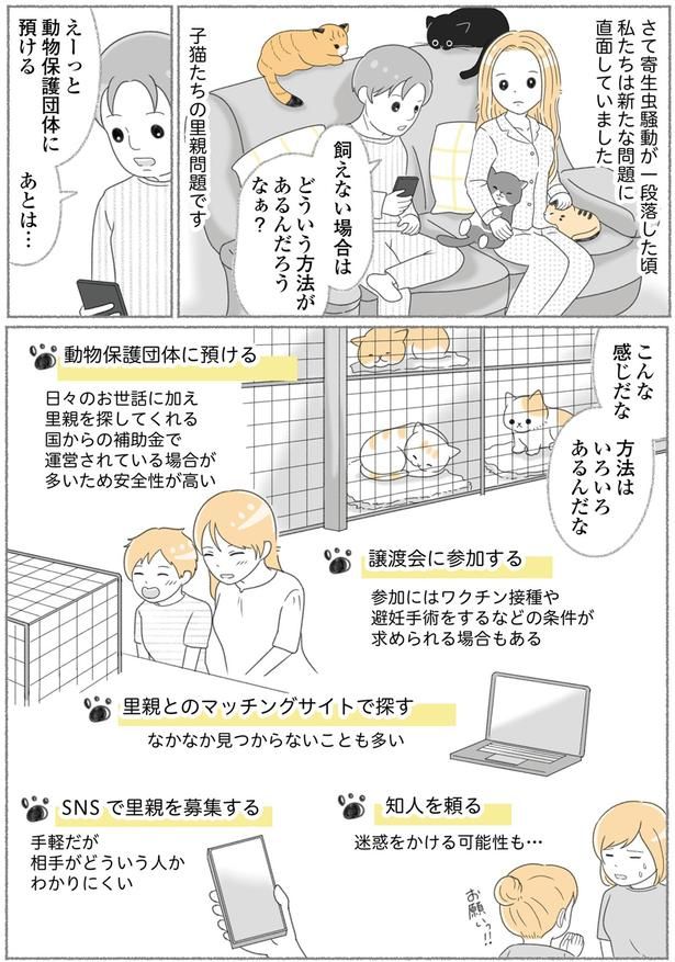 子猫たちの里親問題 （C）ゆきよみ、にゃんかつ／KADOKAWA