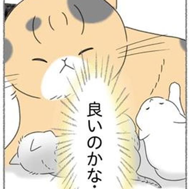 悩んだ子猫の里親探し （C）ゆきよみ、にゃんかつ／KADOKAWA