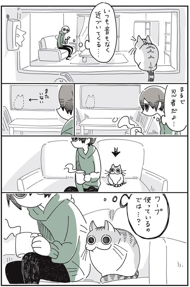 まるで忍者 （C）キュルZ／KADOKAWA