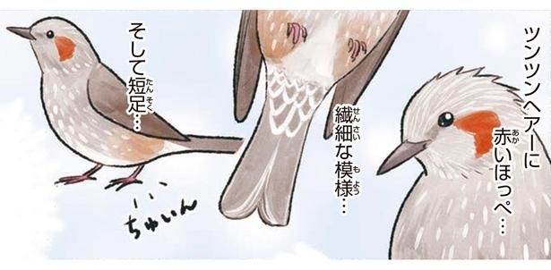 可愛い （C）piro piro piccolo／KADOKAWA