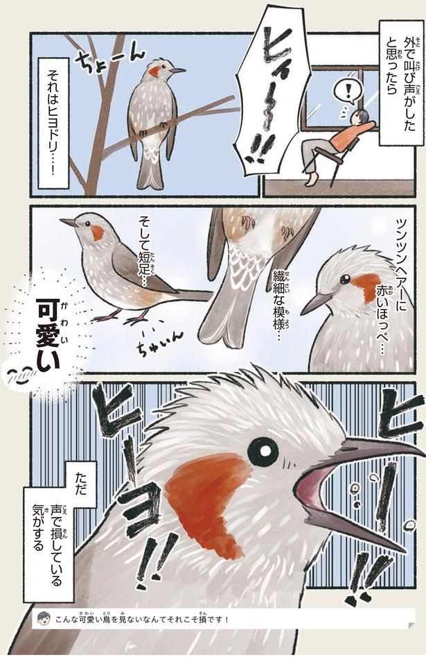 声で損している気がする （C）piro piro piccolo／KADOKAWA