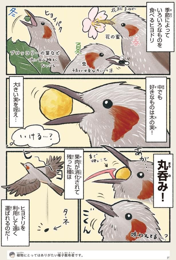 丸呑み！ （C）piro piro piccolo／KADOKAWA