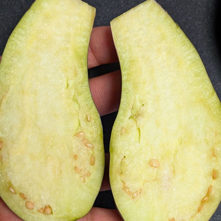 【朝どれ野菜】新鮮な茄子の見分け方