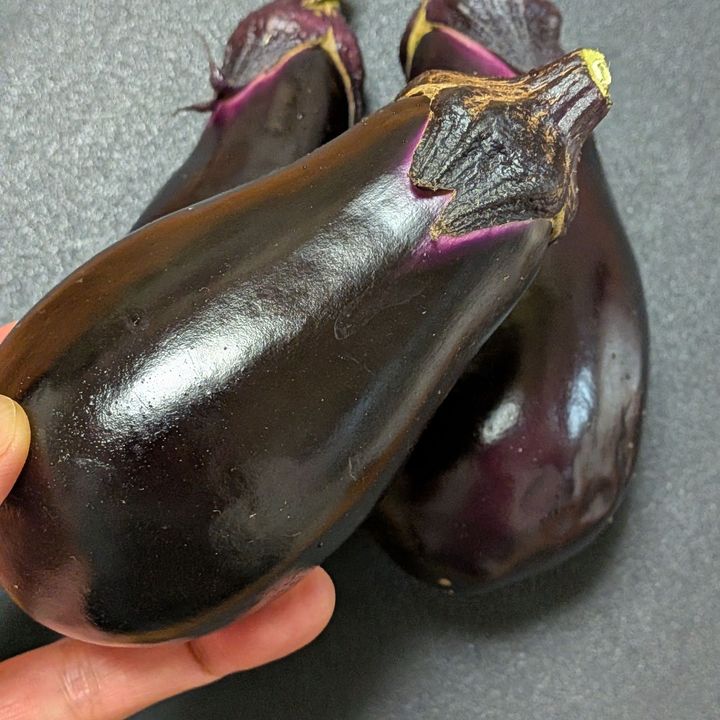 【朝どれ野菜】新鮮な茄子の見分け方