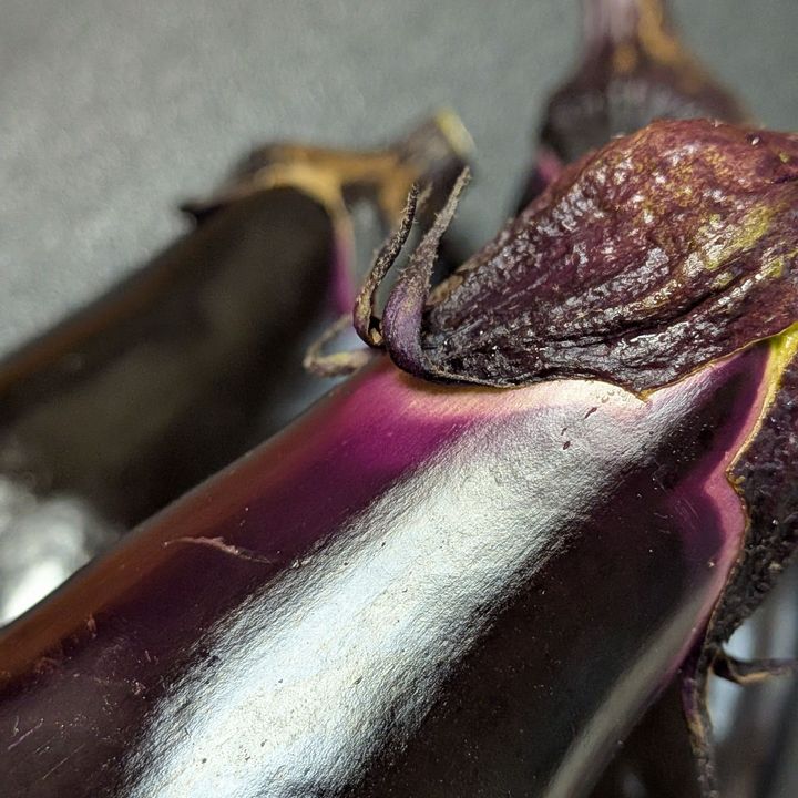 【朝どれ野菜】新鮮な茄子の見分け方