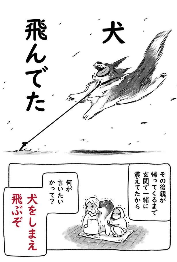 「犬をしまえ、飛ぶぞ」3 ヨシモフ郎(Twitter：@yosimofurou Instagram：@mofumofufufufufu)