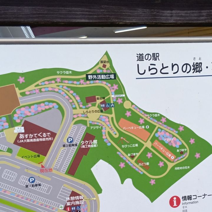 今さら聞けない！？美味しいじゃが芋の選び方・見分け方！夏休みは「きたあかり」でたこ焼き！