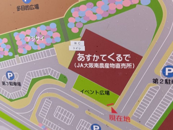 今さら聞けない！？美味しいじゃが芋の選び方・見分け方！夏休みは「きたあかり」でたこ焼き！