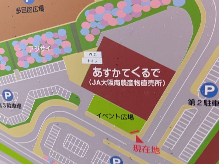 今が旬！変わりパプリカにハマる！道の駅＆ベランダ菜園で楽しむ美味しいパプリカの選び方・見分け方