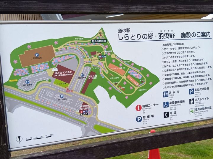 今が旬！変わりパプリカにハマる！道の駅＆ベランダ菜園で楽しむ美味しいパプリカの選び方・見分け方